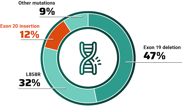 EGFR mutations chart