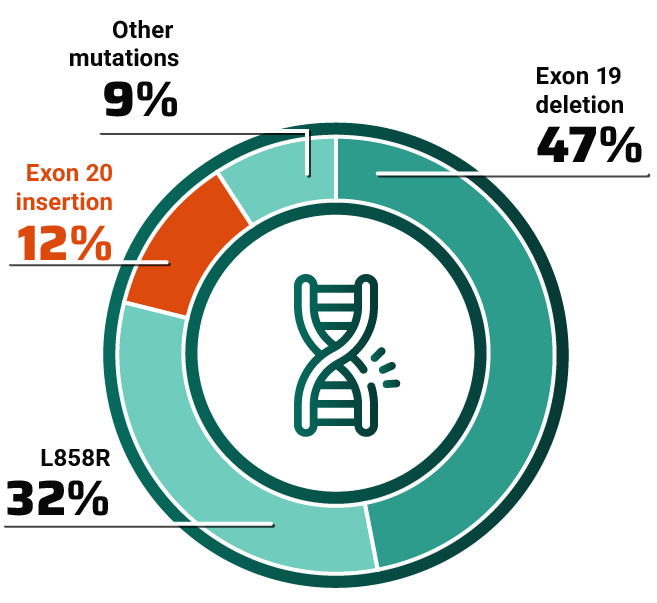 EGFR mutations chart