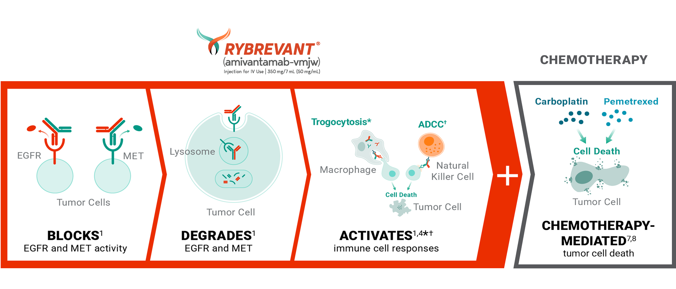 RYBREVANT® (amivantamab) mechanism of action for RYBREVANT® and chemotherapy