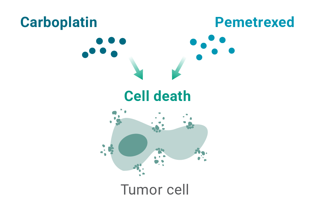 Diagram of chemotherapy mechanism of action showing Carboplatin and Pemetrexed acting on a tumor cell. Arrows point to a fragmented tumor cell labeled “Cell death,” illustrating how these agents induce tumor cell death.